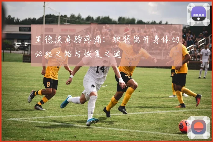 里德谈肩膀疼痛：软弱离开身体的必经之路与恢复之道