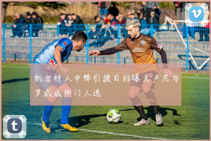 凯尔特人中锋引援目标曝光卢尼与罗威成热门人选