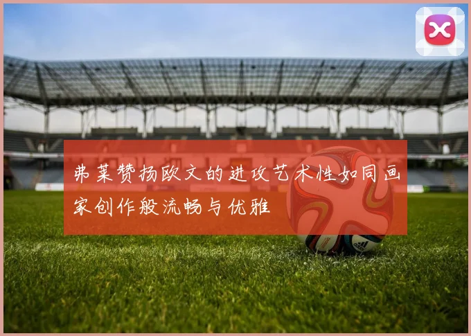 弗莱赞扬欧文的进攻艺术性如同画家创作般流畅与优雅