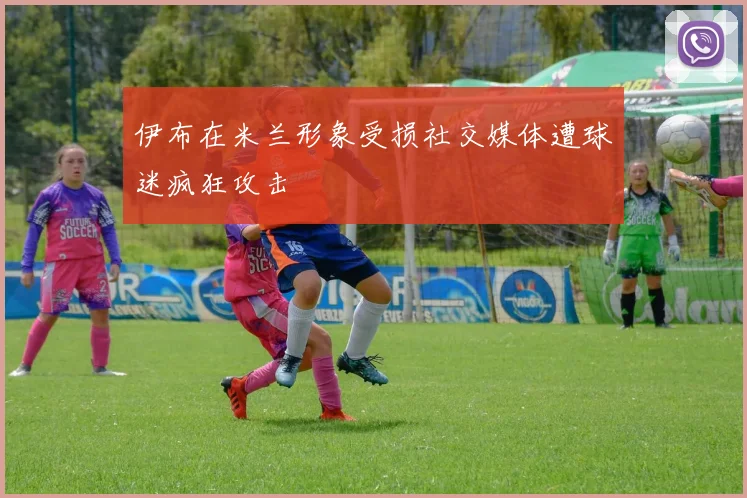 伊布在米兰形象受损社交媒体遭球迷疯狂攻击